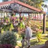 box truss cobertura eventos casamentos